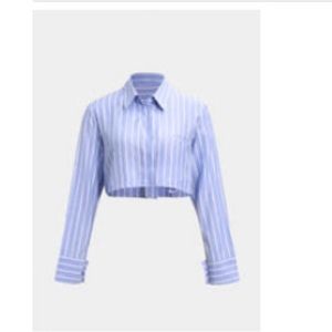 Cropped Collared Stripped blue top.